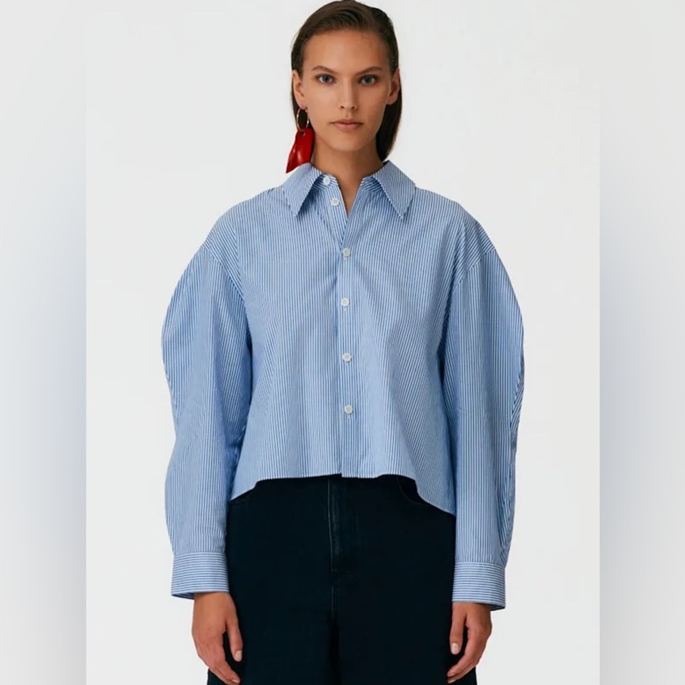 Tibi striped scalloped sleeve cropped button down